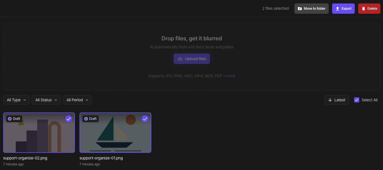 Selected support-organize-01.png and support-organize-02.png files with Move to folder in the top bar